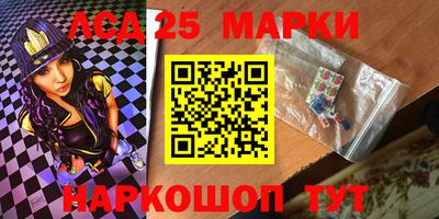 стафф Гатчина