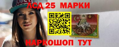 стафф Гатчина