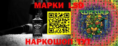 стафф Гатчина