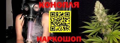 стафф Гатчина