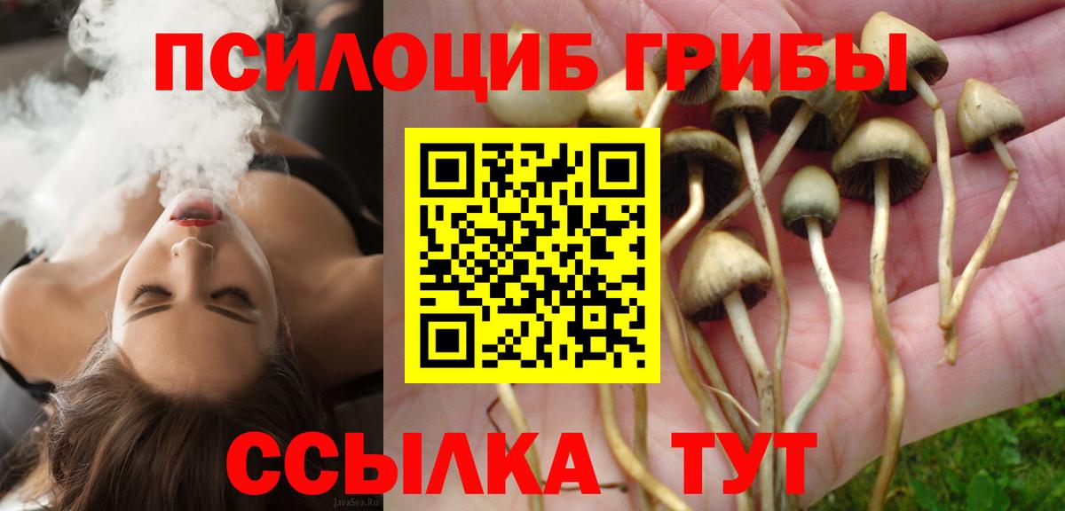 Псилоцибиновые грибы GOLDEN TEACHER Моздок