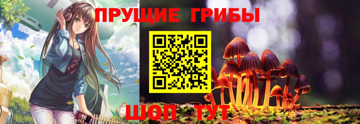 Галлюциногенные грибы Psilocybe  Вход с VPN  Моздок 
